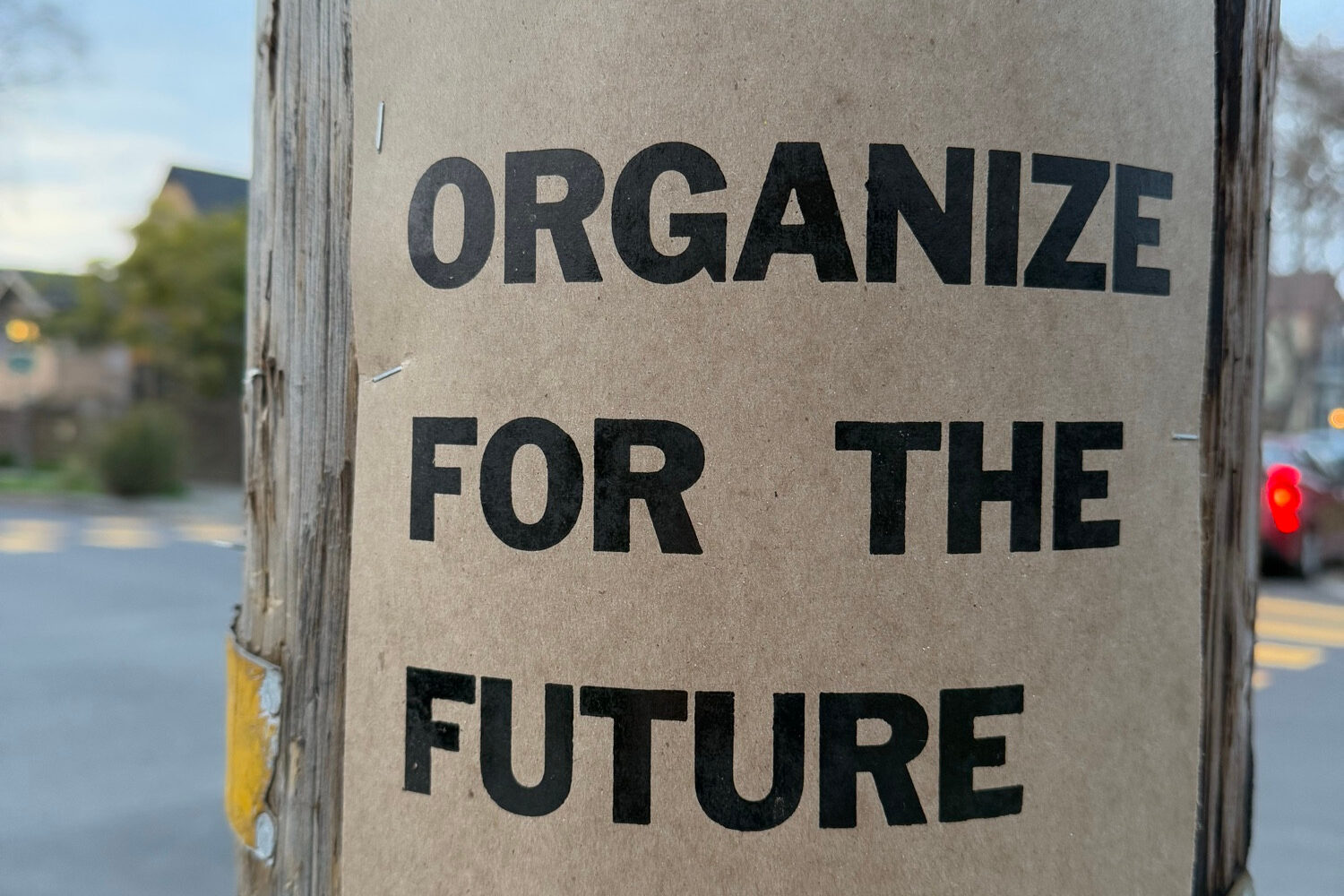 A sign on a telephone pole that says ORGANIZE FOR THE FUTURE